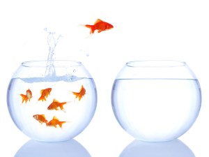 riseperformancegroup